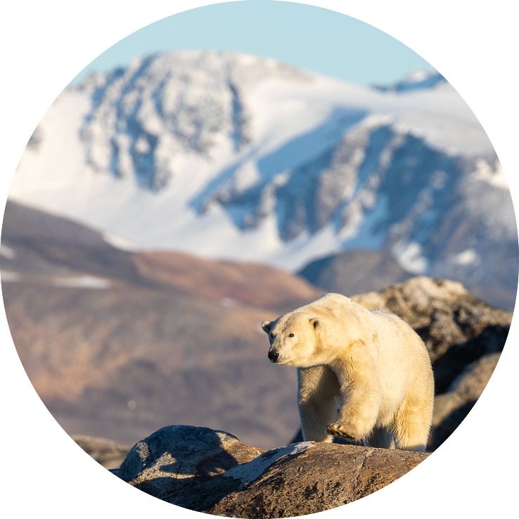 Actieve zeilvakanties met de Meander